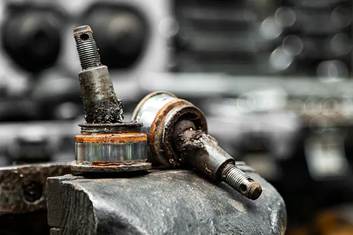 melissa ensacar bolsa conhaque