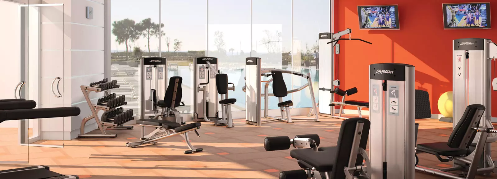  Gym equipment leasing rates for Men